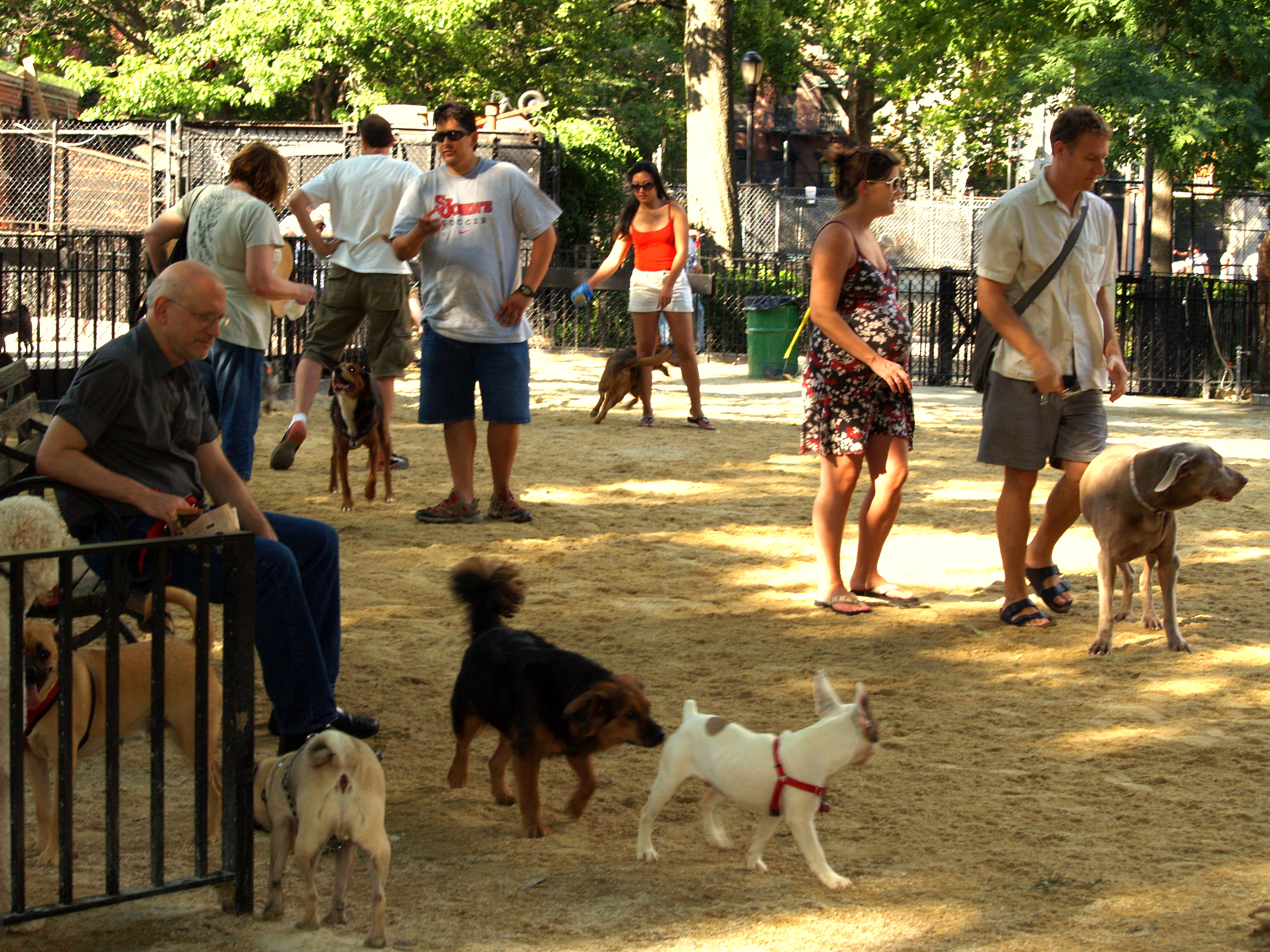 tompkins_square_big_dog_run.jpg