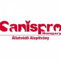 canis_889071947
