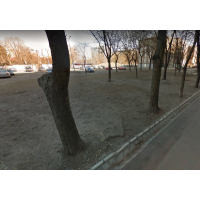gpmadr_park_kutyafuttat