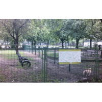kassk_parki_kutyafuttat
