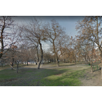 rottenbiller_park_kutyafuttat