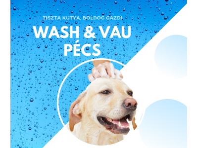 washandvaupcs